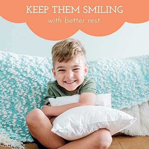 Toddler Pillow 13x18 - Soft Hypoallergenic Toddler Pillows for Sleeping, Best Kids Pillow for Neck Support, Better Naps in Bed, a Crib, or Preschool! Travel Pillow & Baby Pillows for Sleeping (1-Pack)